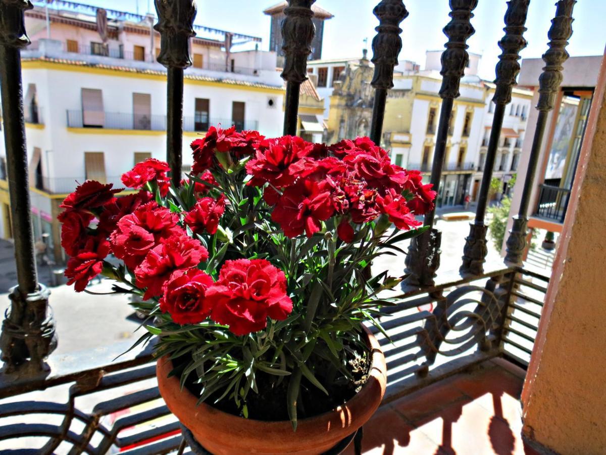 Ferienwohnung Via Alfaros Córdoba Exterior foto
